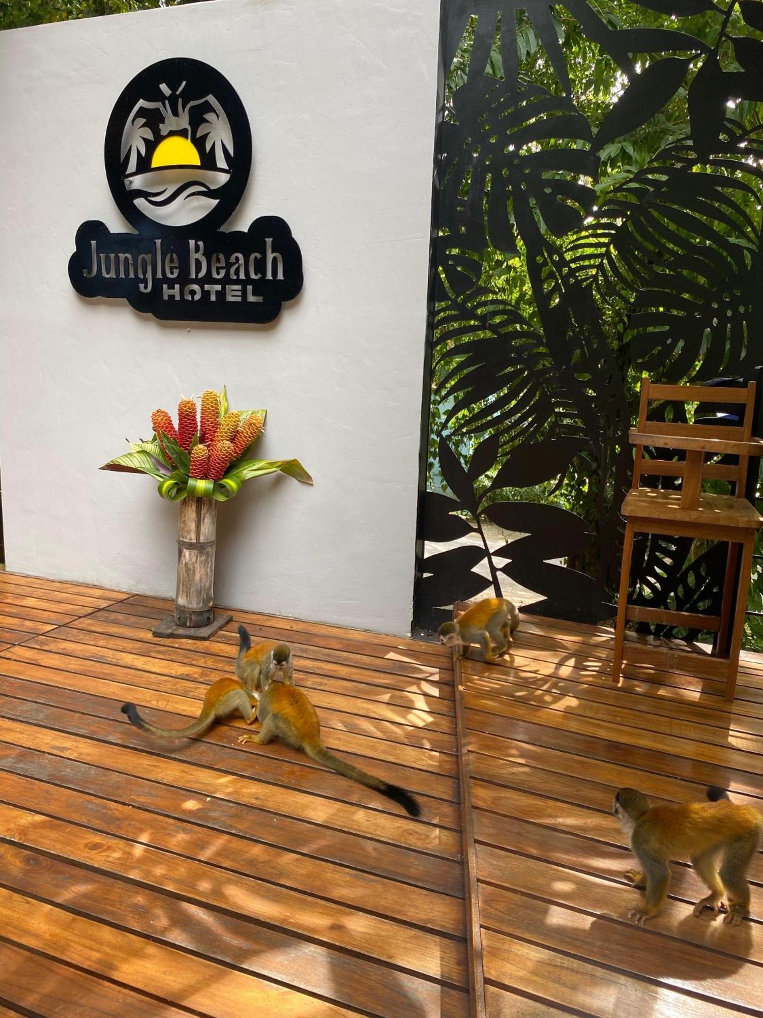 Jungle Beach Hotel Manuel Antonio Exterior foto
