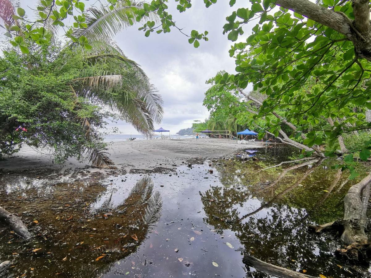 Jungle Beach Hotel Manuel Antonio Exterior foto